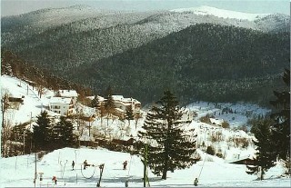 Sous la neige !
