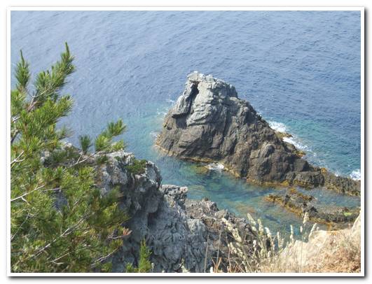 La côte sud de l'Î;le
